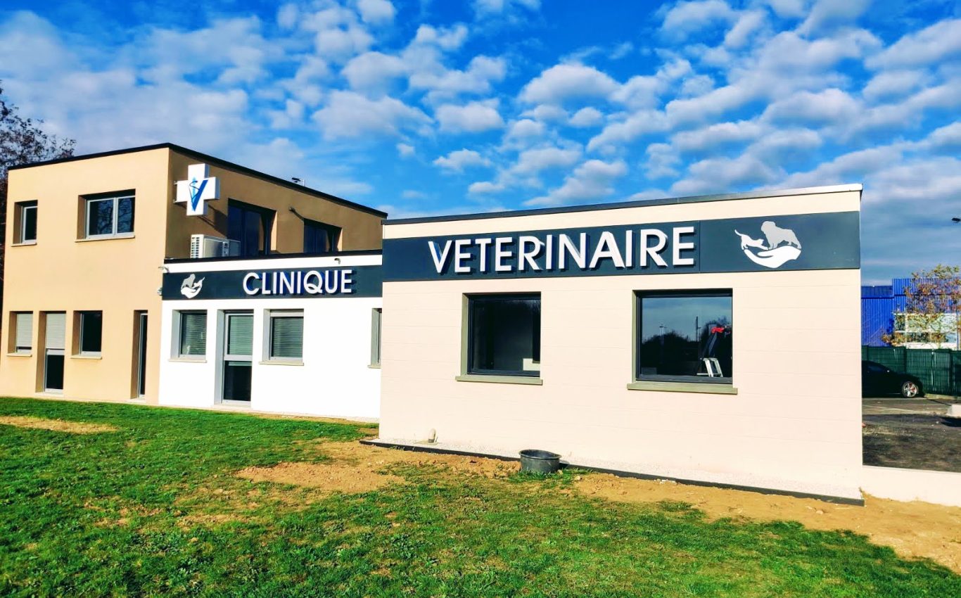enseigne lumineuse vétérinaire Mennecy Essonne enseigne lumineuse vétérinaire Mennecy Essonne
